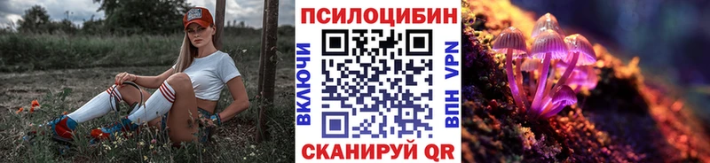 Галлюциногенные грибы Psilocybine cubensis гидра ссылки Котельниково